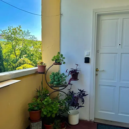 Populare Apartment *